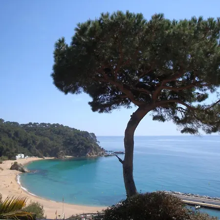 Fischet Lloret de Mar